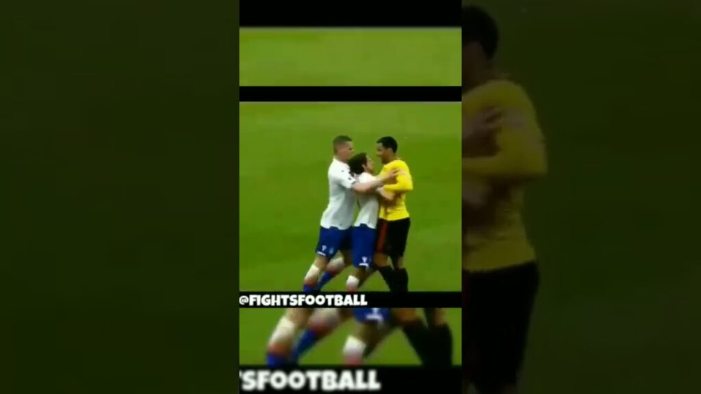 Troy Deeney Vs Joe Allen #shorts #youtubeshorts #fight