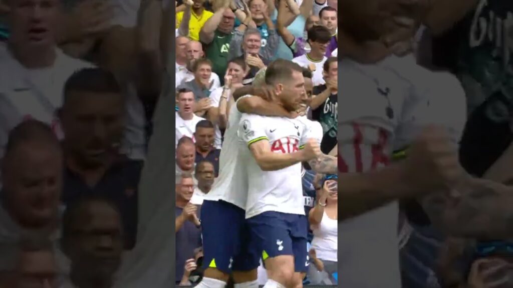 Pierre-Emile Hojbjerg 🇩🇰