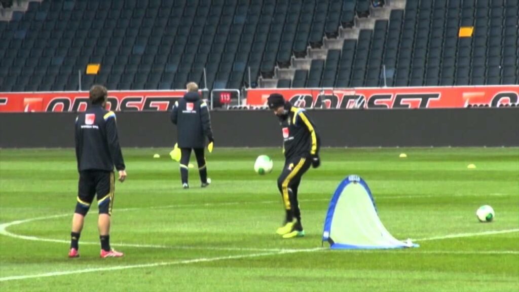 Playoff-Showdown! Portugal weiß: Schweden "mehr als Ibrahimovic" | Paulo Bento und Cristiano Ronaldo