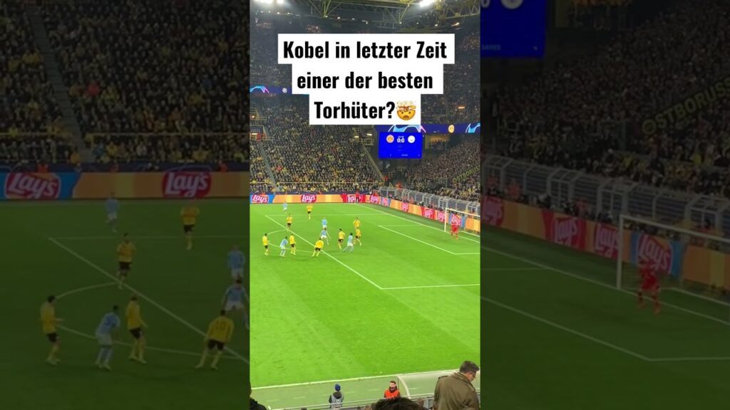 Kobel einer der besten Torhüter?#bvb #kobel #borussiadortmund #mancity #cl #championsleague #parade