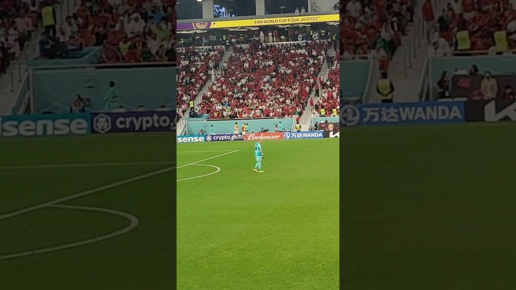 Milan Borjan - golman Crvene zvezde brani za Kanadu protiv Maroka na Svetskom prvenstvu #shorts