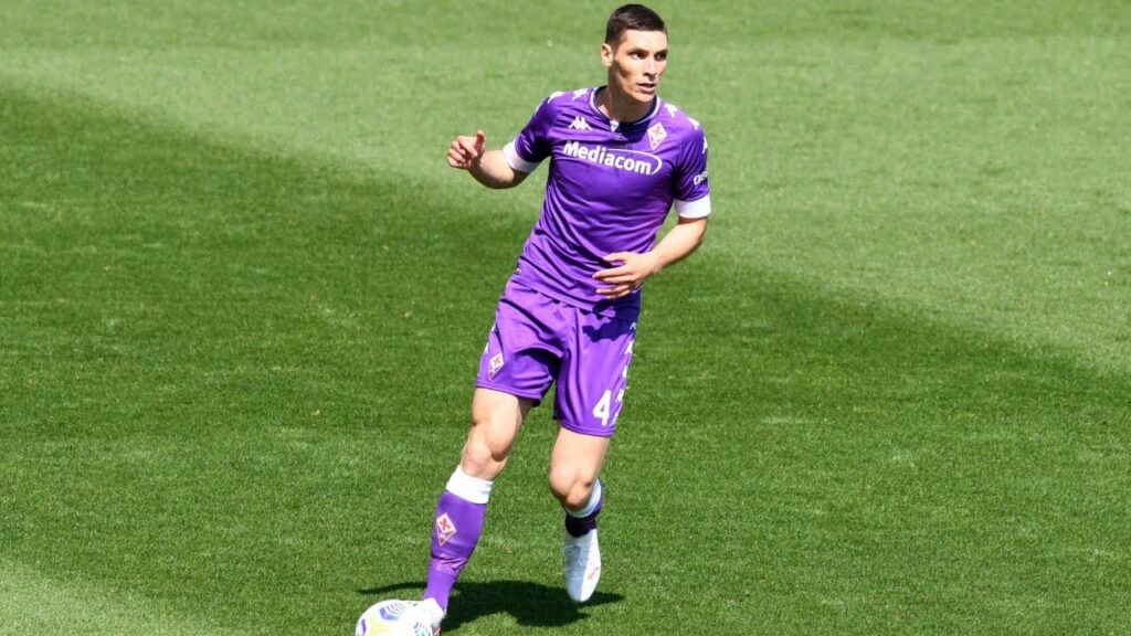 Nikola Milenkovic - Skills and Highlights