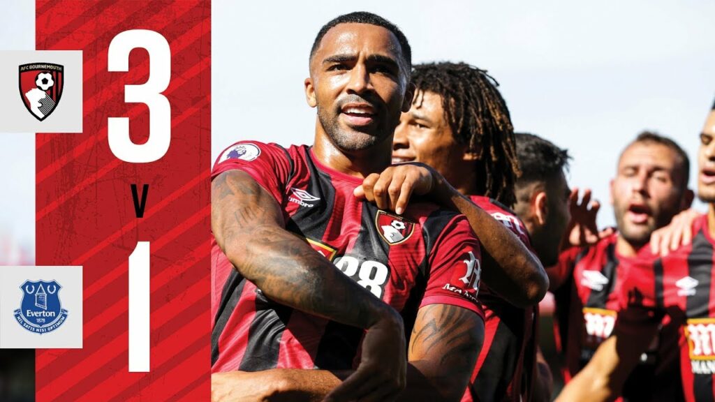 Callum Wilson nets brace in brilliant display 🙌 | AFC Bournemouth 3-1 Everton