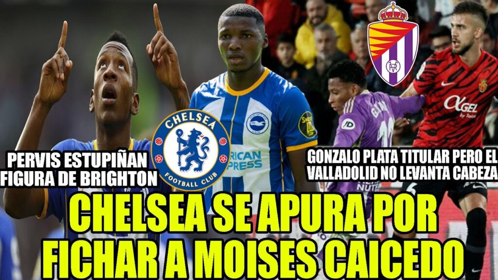 CHELSEA SE APURA POR FICHAR A MOISES CAICEDO! PERVIS ESTUPIÑAN FIGURA DE BRIGHTON! DERROTA DE PLATA
