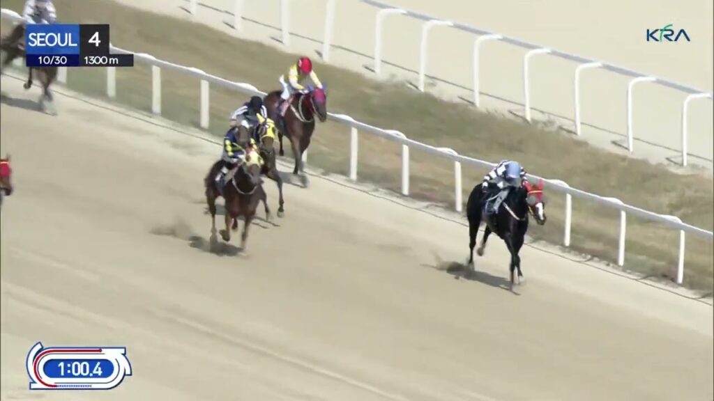 (Seoul) 2022.10.30 R4 Jilju Daese by a nose