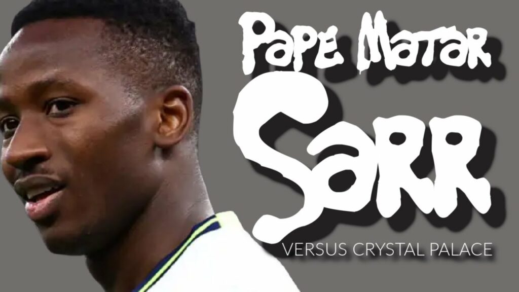 REASONS TO BE PAPE MATAR SARR