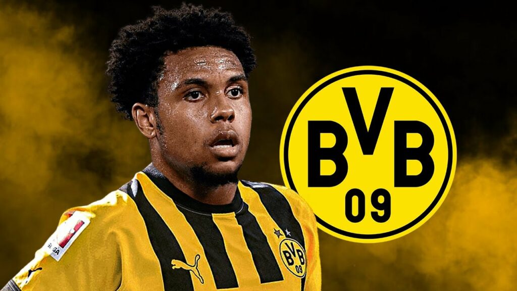 WESTON MCKENNIE - Welcome to Borussia Dortmund? - 2022/23 - Best Skills & Goals (HD)