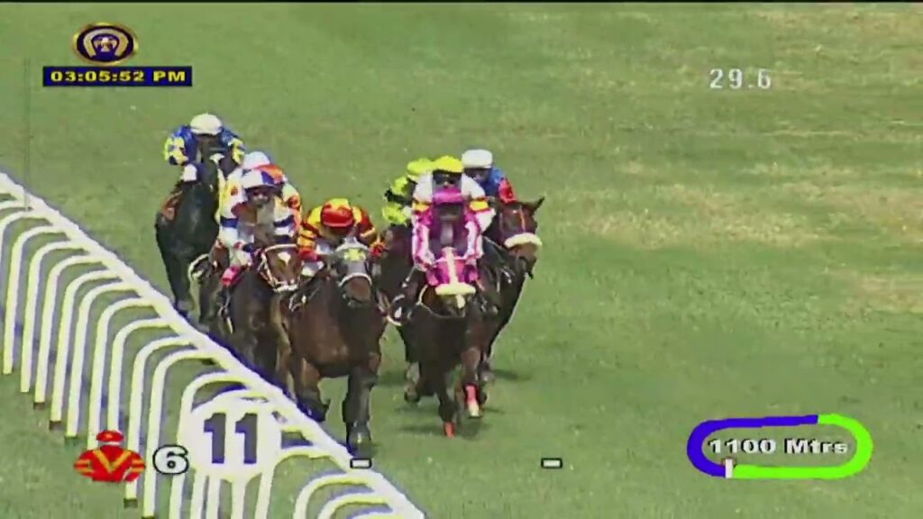 TAREK wins The Delhi Plate