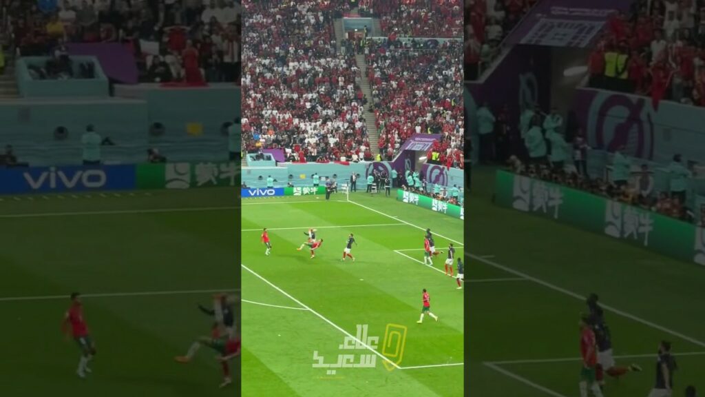 El Yamiq Bicycle Kick vs France