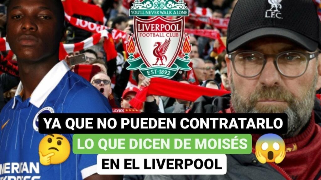 😒Ya que no pueden contratarlo, lo que dicen de Moisés Caicedo en el Liverpool😡