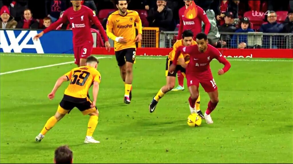 Cody Gakpo vs Wolverhampton