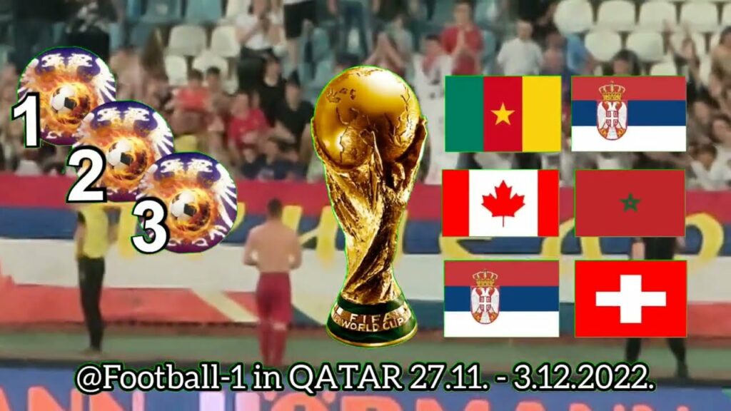 DUŠAN TADIĆ daje dres srpskim navijačima posle utakmice SRBIJA SLOVENIJA 4-1