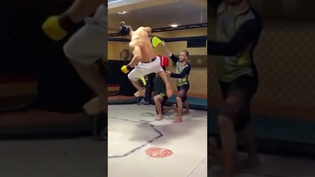 Dear Afghans, this country will always shine like the sun in the green sky.