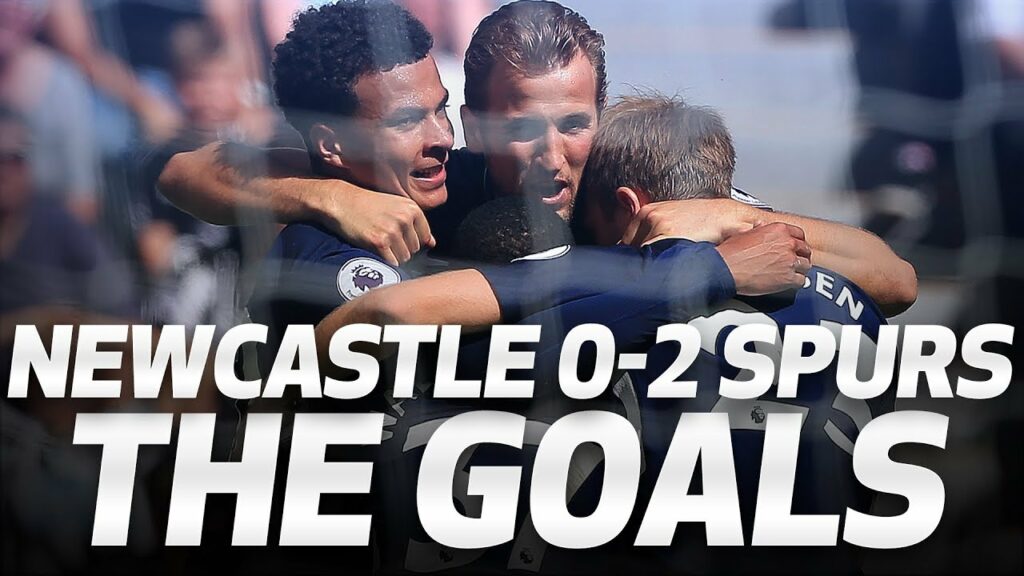 DELE & DAVIES GOALS | Newcastle 0-2 Spurs