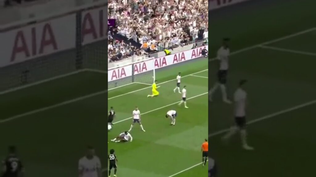 Aleksandar Mitrović Goal Vs Tottenham Premier League 2022