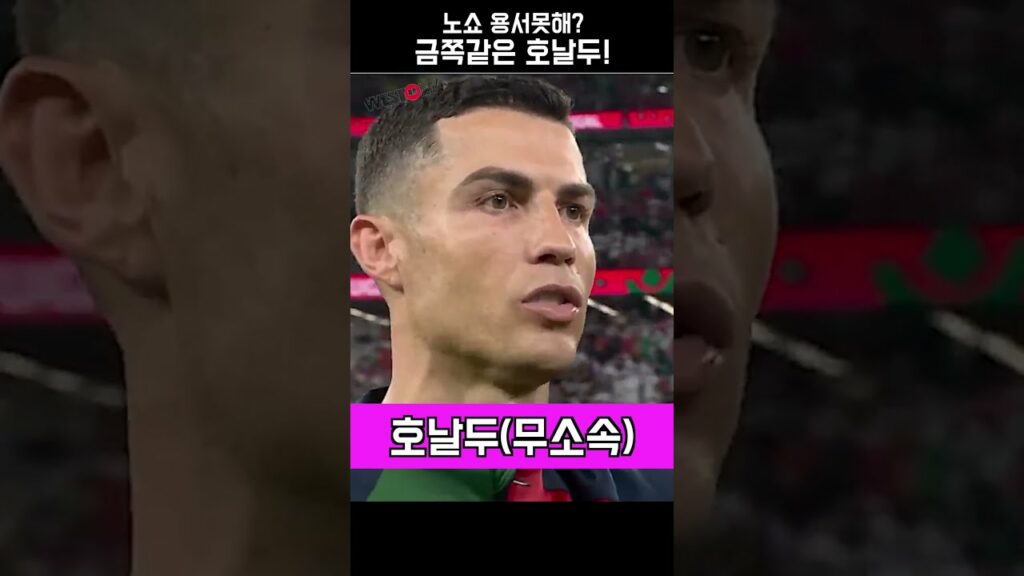 금쪽같은 호날두