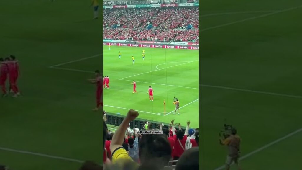 간지나는 황의조 골 세레모니🤫 / Ui-Jo Hwang goal celebration against Brazil🤫