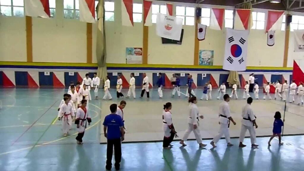 Exhibicion de Artes Marciales en Firgas 5 de julio 2011 Exhibicion de Artes Marciales en Firgas 5 de julio 2011