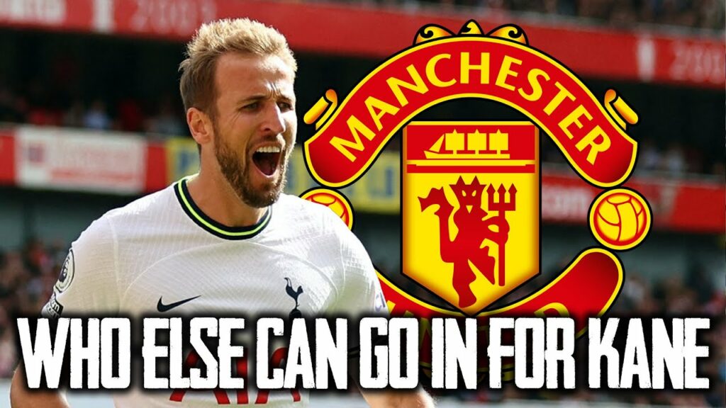 WHO ELSE CAN GO IN FOR HARRY KANE? @LeeGunner