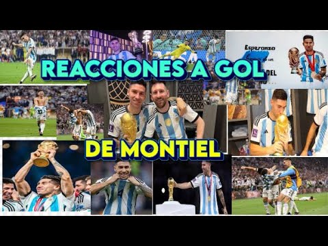 #Reacciones a Gol de #MONTIEL  "ARGENTINA CAMPEÓN MUNDIAL" #CATAR2022  Argentina 3(4)vs Francia 3(2)