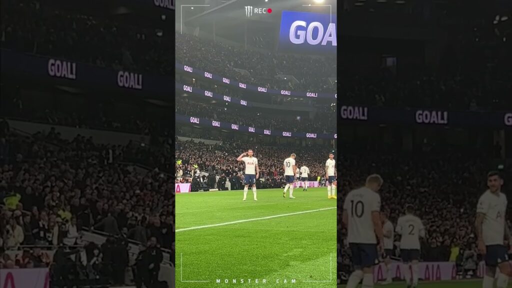 Pierre-Emile Hojbjerg really is our viking 😍 | MONSTER CAM