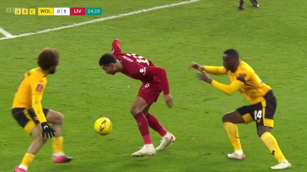 Cody Gakpo vs Wolverhampton