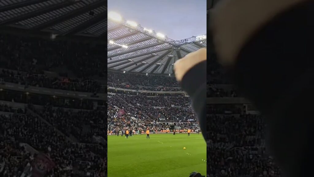 🗣🎶 Hey Callum Wilson - Post Newcastle v Fulham