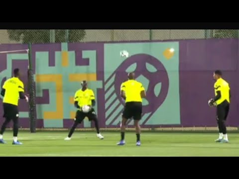 Entraînement des Lions 🇸🇳 : Edouard Mendy, Seny Dieng,  Gomis avec Tony Sylva en toute complicité