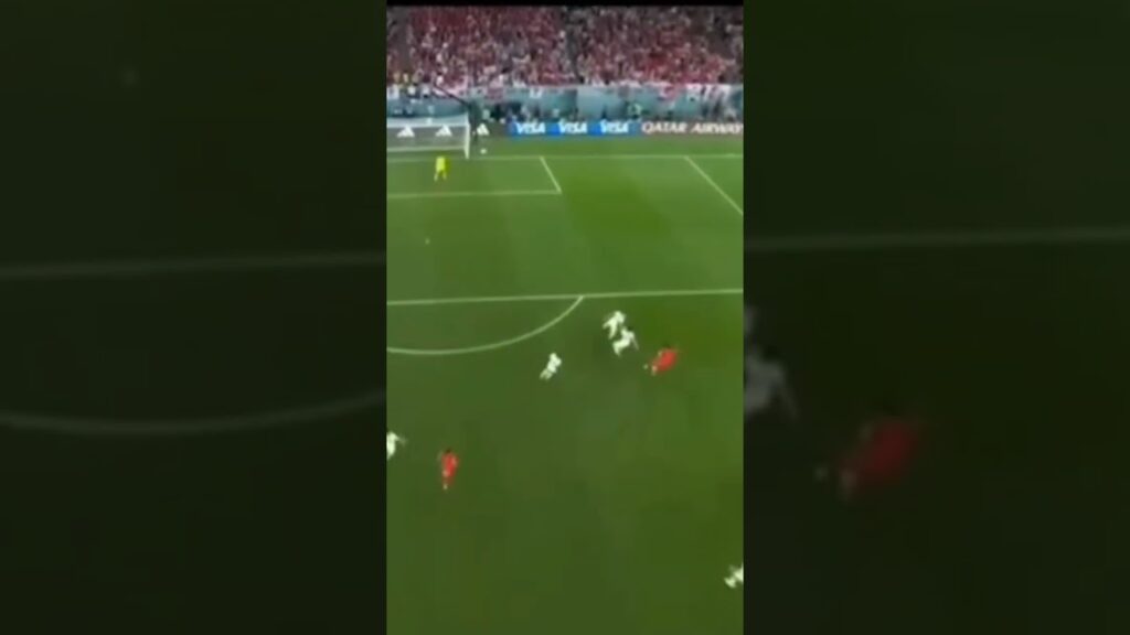 HWANG HEE CHAN LAST MINUTE GOAL AGAINST PORTUGAL