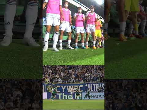 빛현우 선방 후 벤치 반응[#shorts]