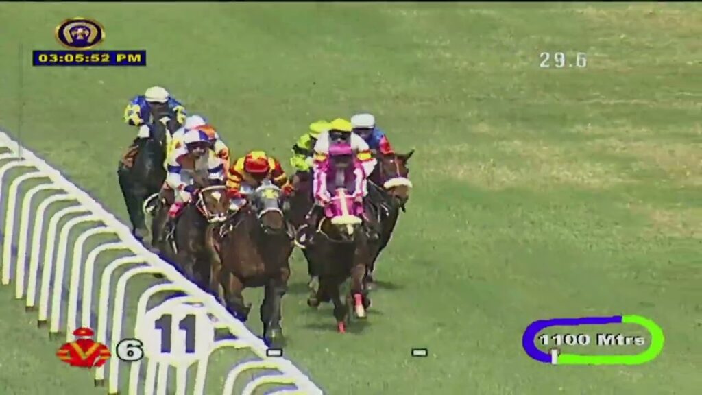 TAREK with S Saqlain up wins The Delhi Plate 2022