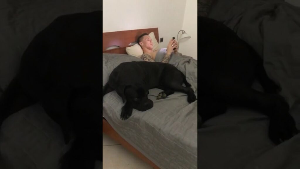 Matilde Rossi miss Skorupski cerca il letto ma c'è il cane!