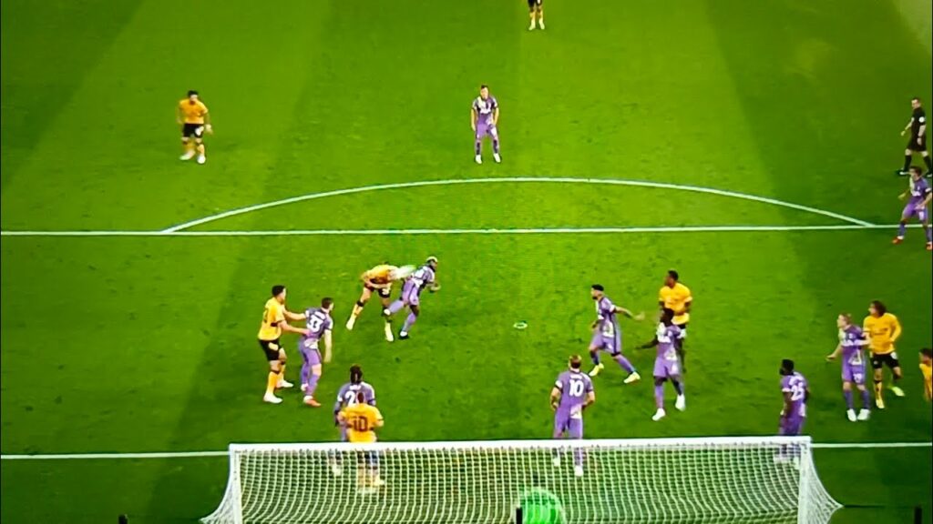 Leander Dendoncker goal vs spurs