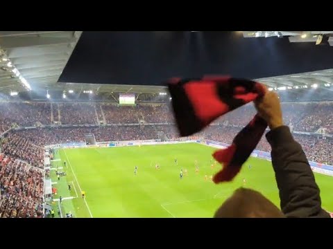 Freiburg Fans Celebrate After Jeong Woo-yeong Goal Vs FC Köln (6th November, 2022) #JeongWoo-yeong 😍