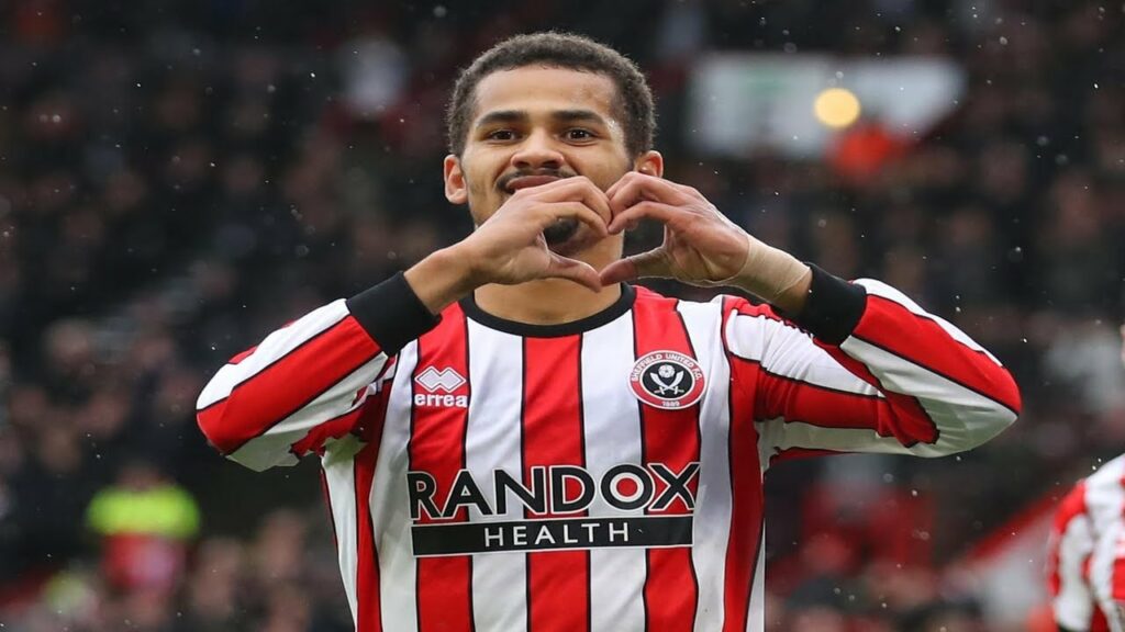 Iliman Ndiaye 2023 - Best Skills, Goals & Assists - Sheffield United (HD)