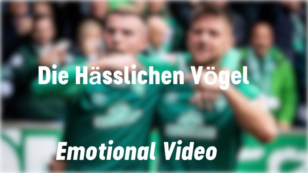 Die Hässlichen Vögel I Niclas Füllkrug & Marvin Ducksch Emotional Video I LLGW1899