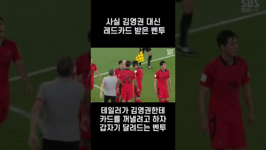 사실 김영권 대신 레드카드 받은 벤투감독 #shorts