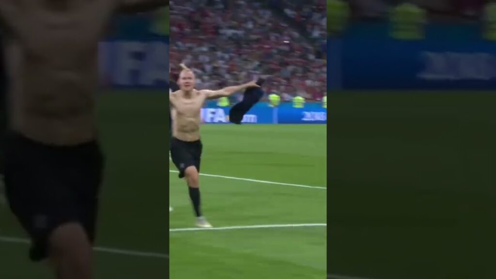 Domagoj Vida goal vs Russia