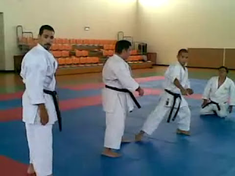 Nejoshiho KATA  PONKAI