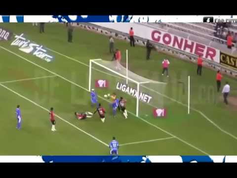 ROBERTO "PIOJO" ALVARADO