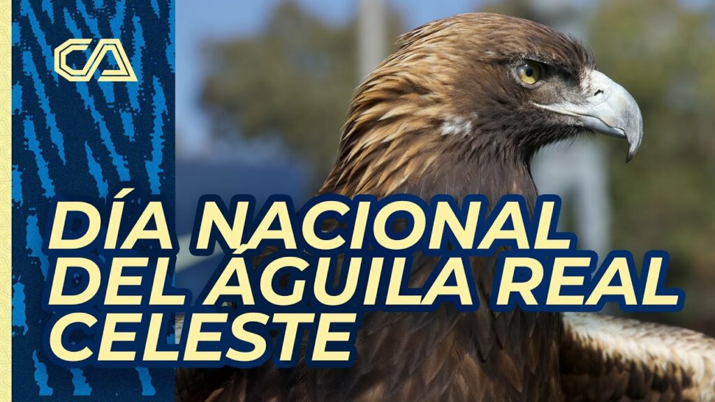 Día Nacional del Águila Real | Celeste con Diego Valdés, Jonathan dos Santos y Néstor Araujo