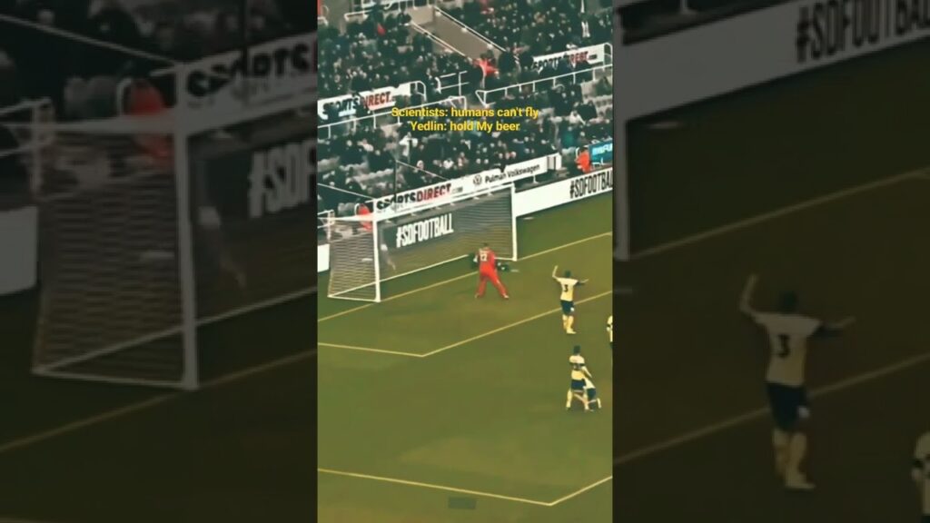 DeAndre Yedlin's first goal of the season in 2019.#newcastleunited #viralvideo #shorts #epl