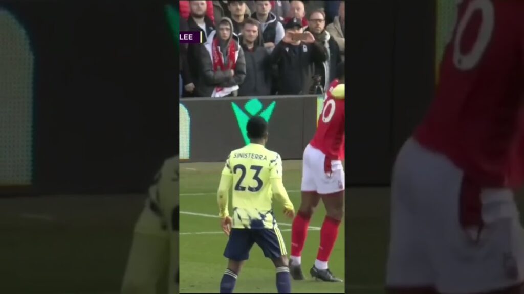 Brennan Johnson Goal Leeds United