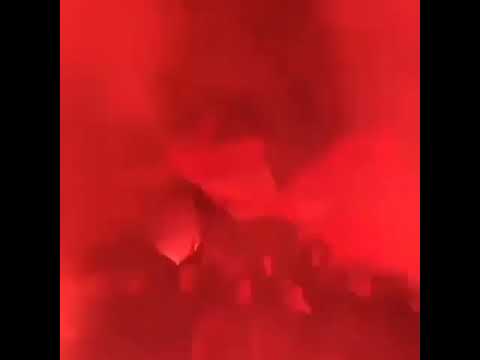 Milan Borjan vodi navijanje delija