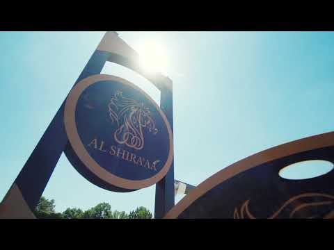Al Shira'aa Stables
