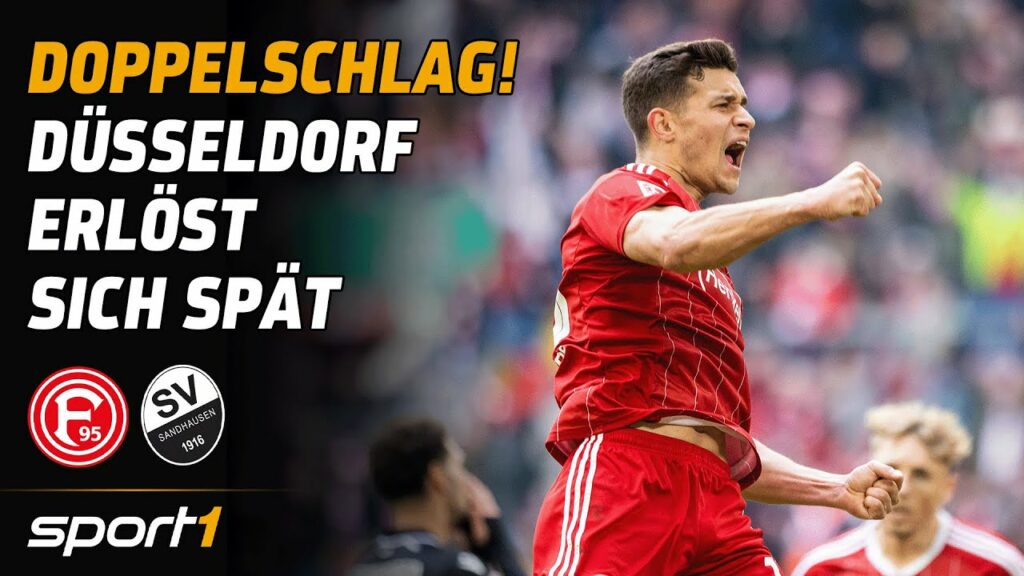 Düsseldorf - Sandhausen | 2. Bundesliga Tore und Highlights 20. Spieltag | SPORT1