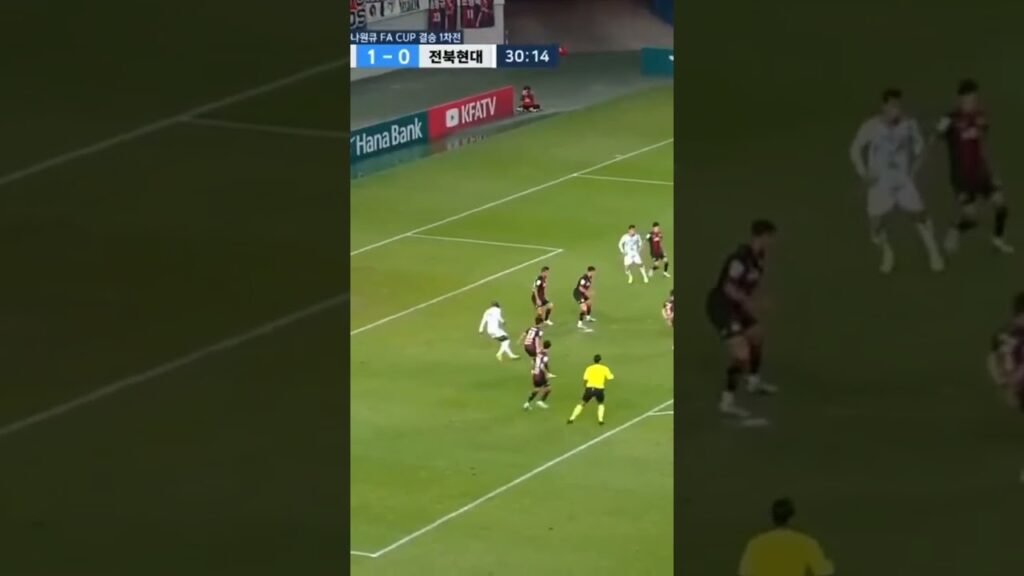 이게바로 극장골 입니다. 전북현대축구단