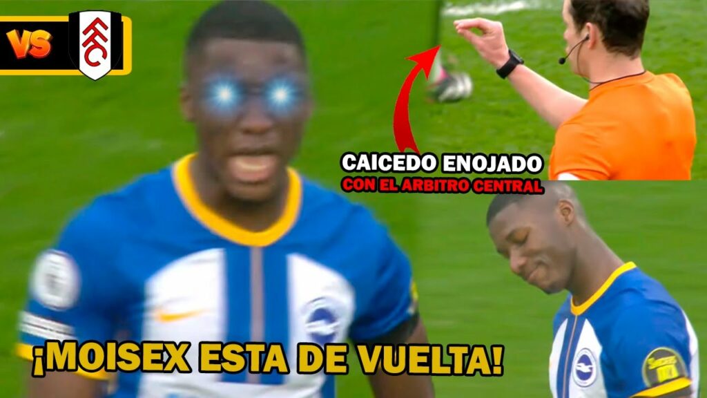 Moises Caicedo vs Fulham