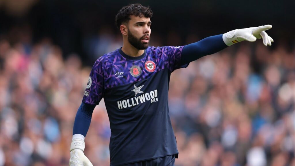 David Raya Passes & Saves vs Arsenal || 11/02/2023