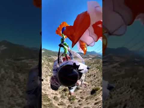 THIS. IS. WILD. 😳👏(via: @Luiz Otavio Mesquita) #shorts